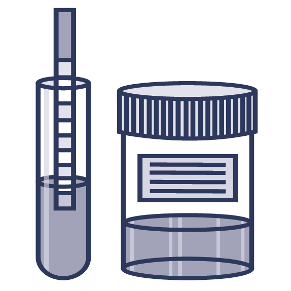Urine Urine